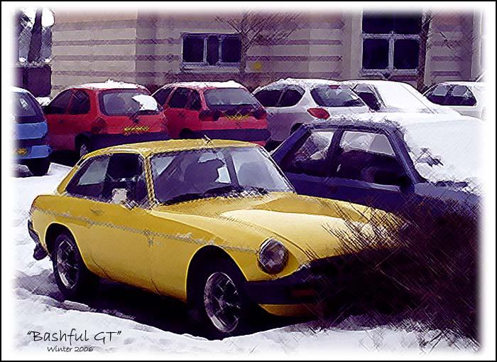 &quot;Bashful GT&quot;