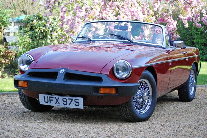 Ready for a run out in the spring sunshine - glorious!