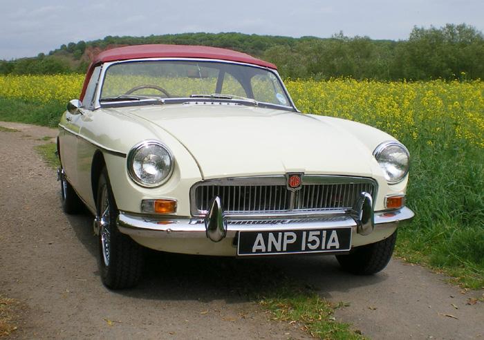 In Old English White