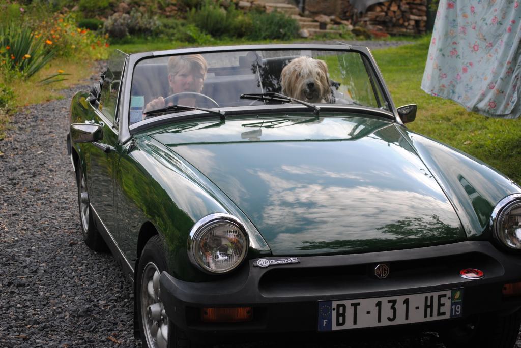 My birthday present Bridget the Midget 1500. Me, Lucas the dog and Bridget.